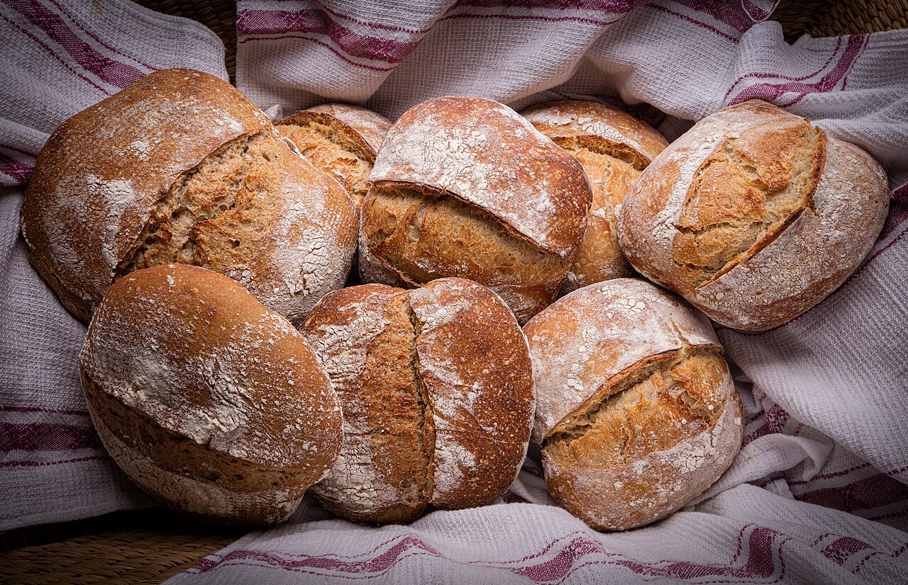 Sourdough Evolution: Unlocking Your Best Bread Through Dedication